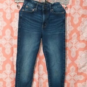 Aeropostale Dark Blue High Rise Jeggings